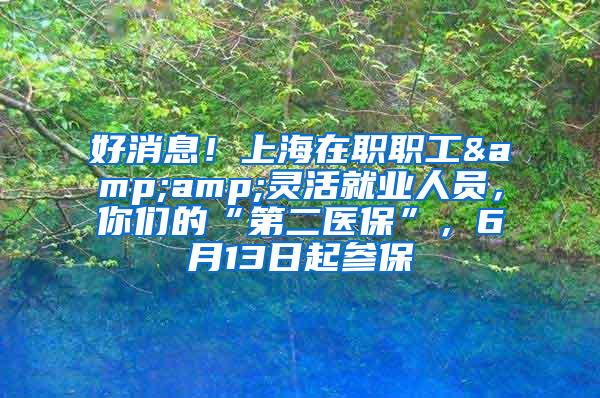 好消息！上海在职职工&amp;灵活就业人员，你们的“第二医保”，6月13日起参保