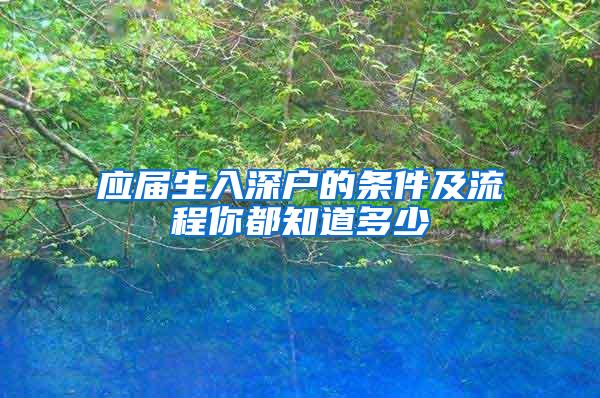 应届生入深户的条件及流程你都知道多少