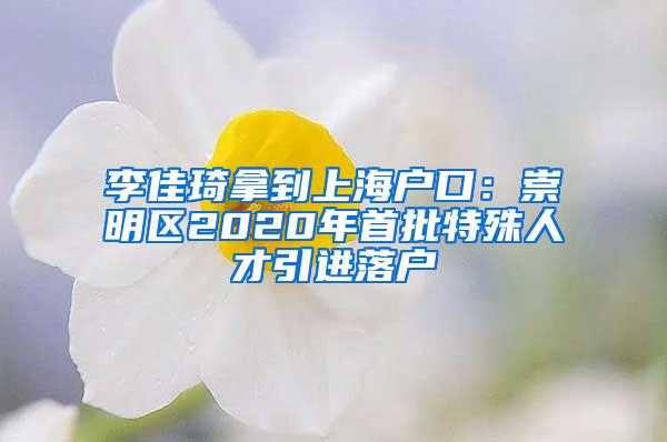 李佳琦拿到上海户口：崇明区2020年首批特殊人才引进落户