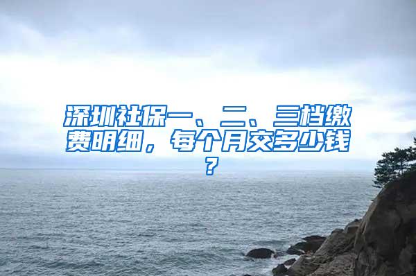 深圳社保一、二、三档缴费明细，每个月交多少钱？