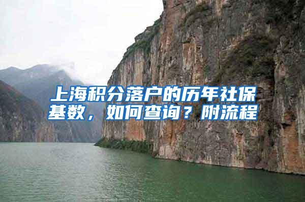 上海积分落户的历年社保基数，如何查询？附流程