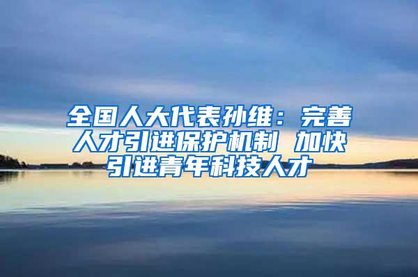 全国人大代表孙维：完善人才引进保护机制 加快引进青年科技人才