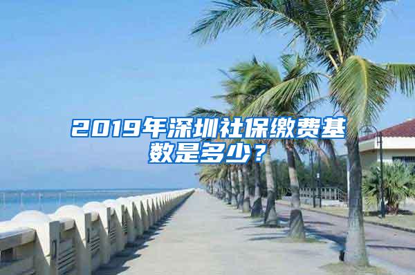 2019年深圳社保缴费基数是多少？