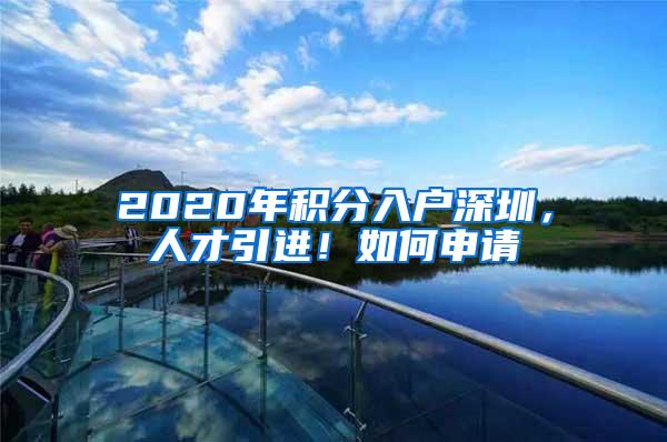 2020年积分入户深圳，人才引进！如何申请