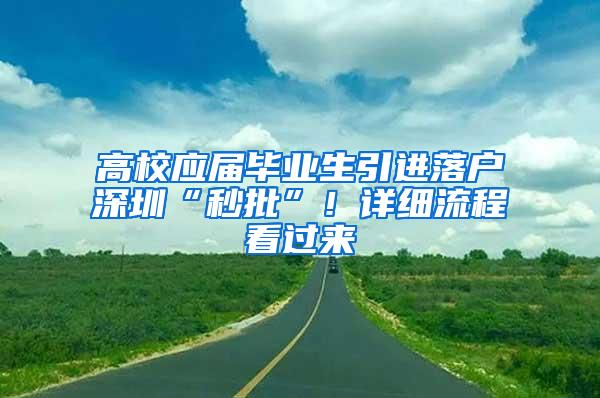 高校应届毕业生引进落户深圳“秒批”！详细流程看过来