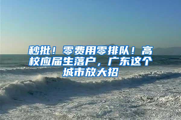 秒批！零费用零排队！高校应届生落户，广东这个城市放大招