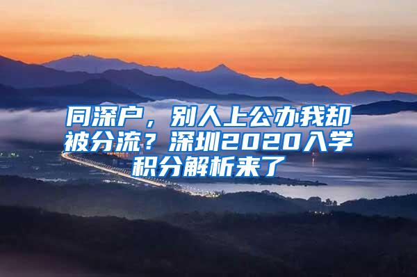 同深户，别人上公办我却被分流？深圳2020入学积分解析来了