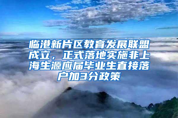临港新片区教育发展联盟成立，正式落地实施非上海生源应届毕业生直接落户加3分政策