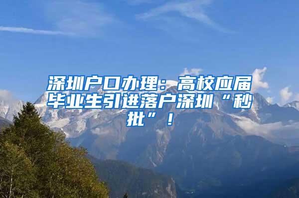 深圳户口办理：高校应届毕业生引进落户深圳“秒批”！