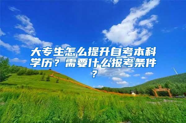 大专生怎么提升自考本科学历？需要什么报考条件？