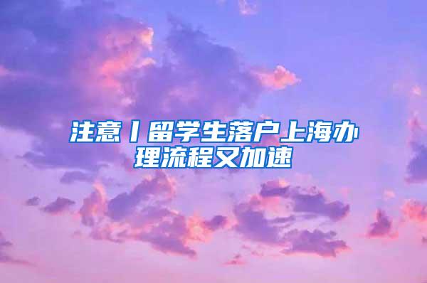 注意丨留学生落户上海办理流程又加速