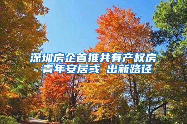 深圳房企首推共有产权房 青年安居或蹚出新路径