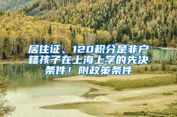 居住证、120积分是非户籍孩子在上海上学的先决条件！附政策条件