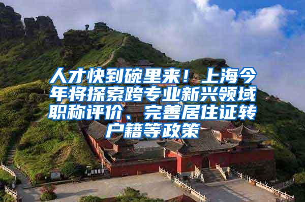 人才快到碗里来！上海今年将探索跨专业新兴领域职称评价、完善居住证转户籍等政策