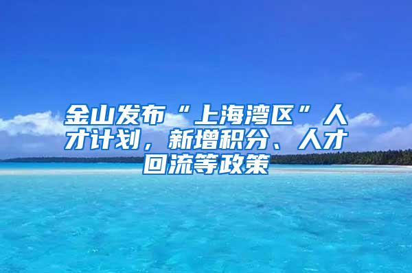 金山发布“上海湾区”人才计划，新增积分、人才回流等政策