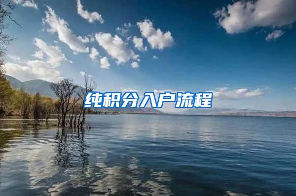纯积分入户流程