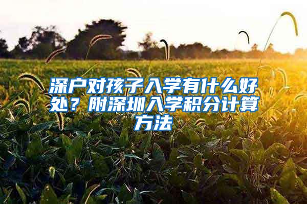 深户对孩子入学有什么好处？附深圳入学积分计算方法