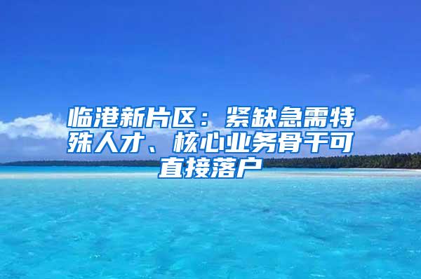 临港新片区：紧缺急需特殊人才、核心业务骨干可直接落户