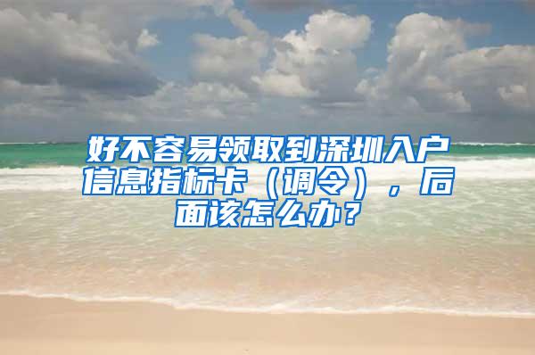 好不容易领取到深圳入户信息指标卡（调令），后面该怎么办？