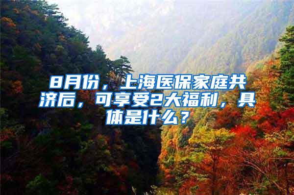 8月份，上海医保家庭共济后，可享受2大福利，具体是什么？