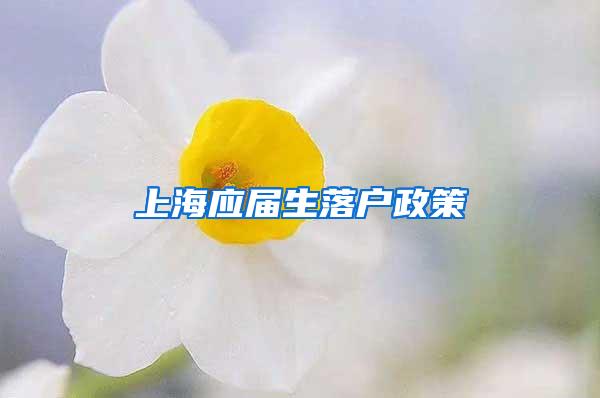 上海应届生落户政策