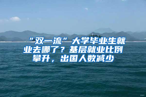 “双一流”大学毕业生就业去哪了？基层就业比例攀升，出国人数减少