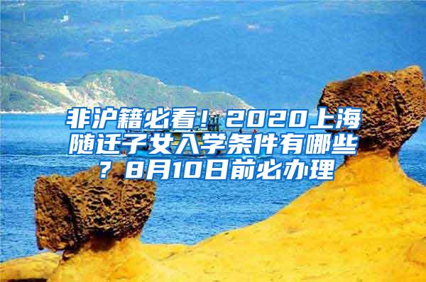 非沪籍必看！2020上海随迁子女入学条件有哪些？8月10日前必办理