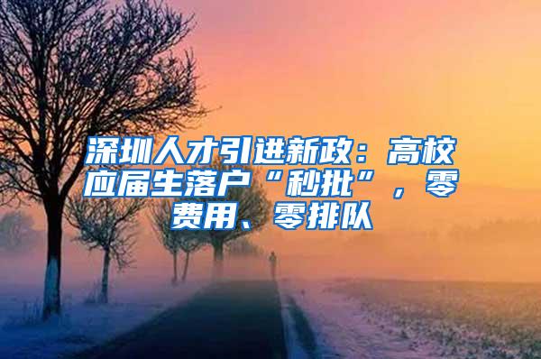 深圳人才引进新政：高校应届生落户“秒批”，零费用、零排队