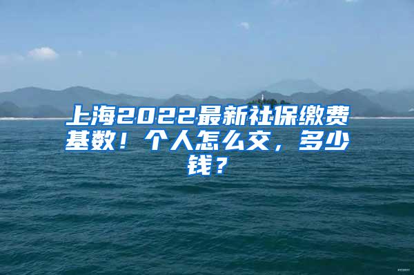 上海2022最新社保缴费基数！个人怎么交，多少钱？