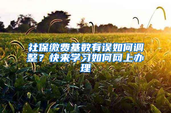 社保缴费基数有误如何调整？快来学习如何网上办理→