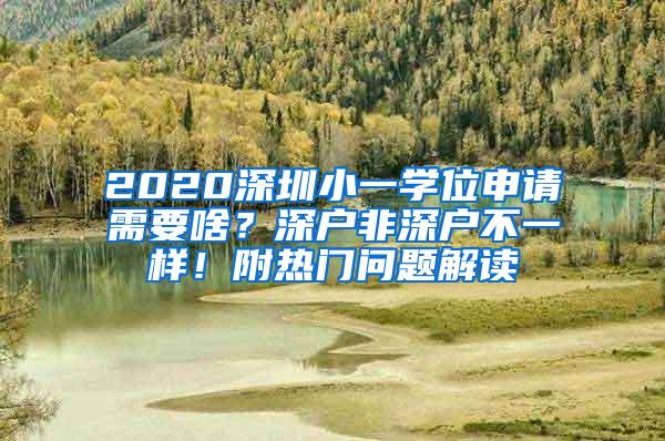 2020深圳小一学位申请需要啥？深户非深户不一样！附热门问题解读