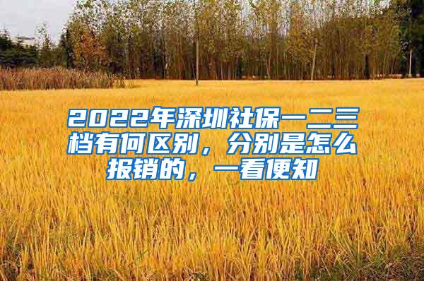 2022年深圳社保一二三档有何区别，分别是怎么报销的，一看便知