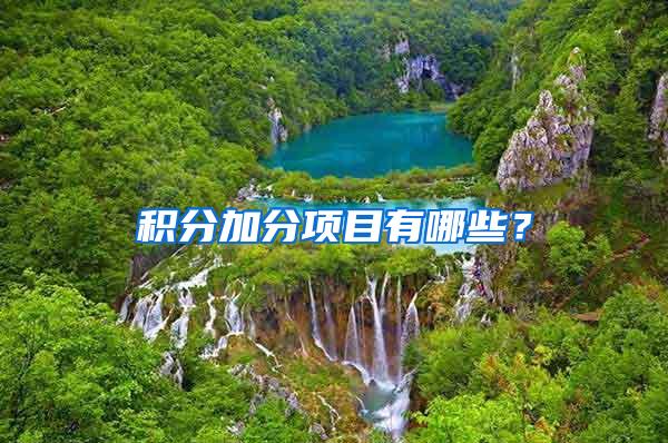 积分加分项目有哪些？