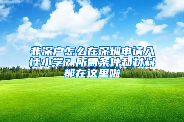 非深户怎么在深圳申请入读小学？所需条件和材料都在这里啦