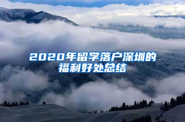 2020年留学落户深圳的福利好处总结