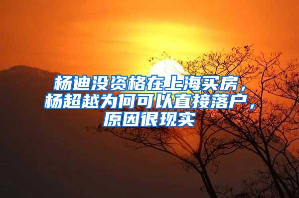 杨迪没资格在上海买房，杨超越为何可以直接落户，原因很现实