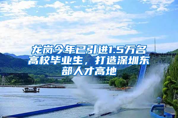 龙岗今年已引进1.5万名高校毕业生，打造深圳东部人才高地