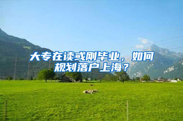 大专在读或刚毕业，如何规划落户上海？