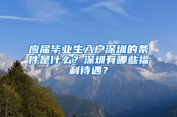 应届毕业生入户深圳的条件是什么？深圳有哪些福利待遇？