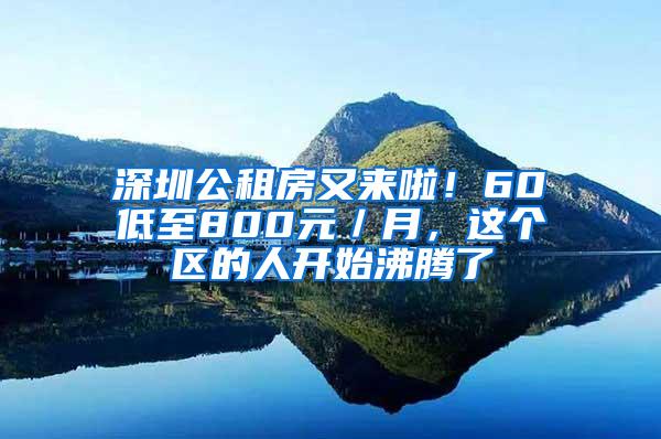 深圳公租房又来啦！60㎡低至800元／月，这个区的人开始沸腾了