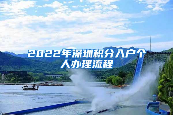 2022年深圳积分入户个人办理流程