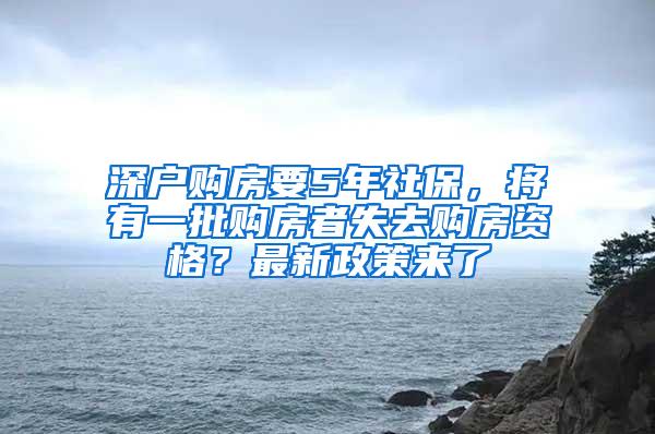 深户购房要5年社保，将有一批购房者失去购房资格？最新政策来了