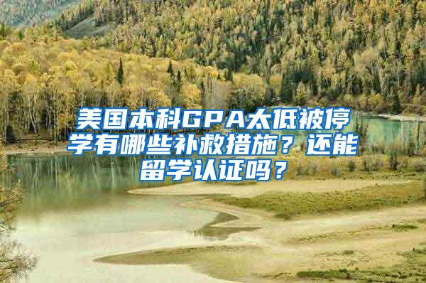 美国本科GPA太低被停学有哪些补救措施？还能留学认证吗？