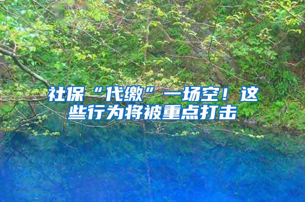 社保“代缴”一场空！这些行为将被重点打击