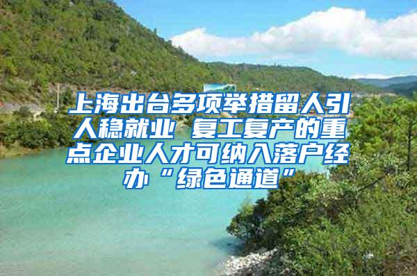 上海出台多项举措留人引人稳就业 复工复产的重点企业人才可纳入落户经办“绿色通道”