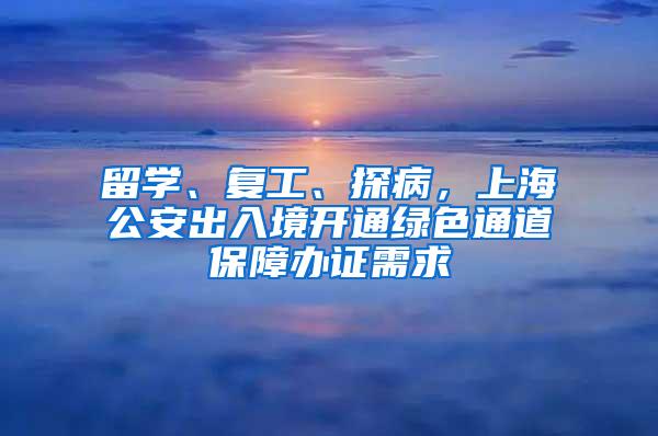 留学、复工、探病，上海公安出入境开通绿色通道保障办证需求