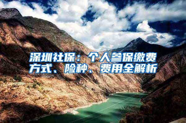 深圳社保：个人参保缴费方式、险种、费用全解析