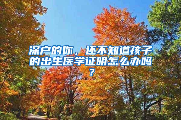 深户的你，还不知道孩子的出生医学证明怎么办吗？