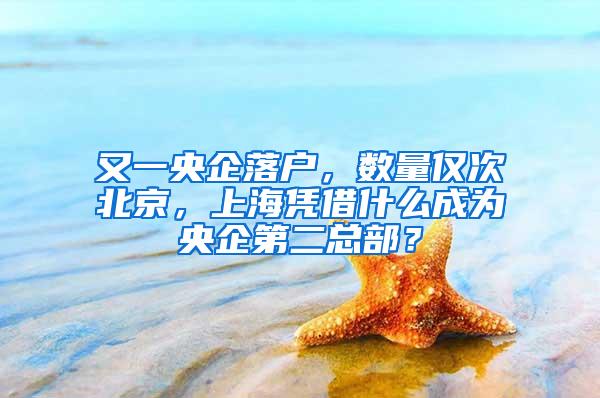 又一央企落户，数量仅次北京，上海凭借什么成为央企第二总部？