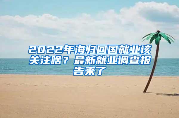 2022年海归回国就业该关注啥？最新就业调查报告来了